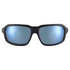 HEXT, Matte Black-Saturn Polarized 555nm Blue Cat 2 to 3 B8, hi-res image number null